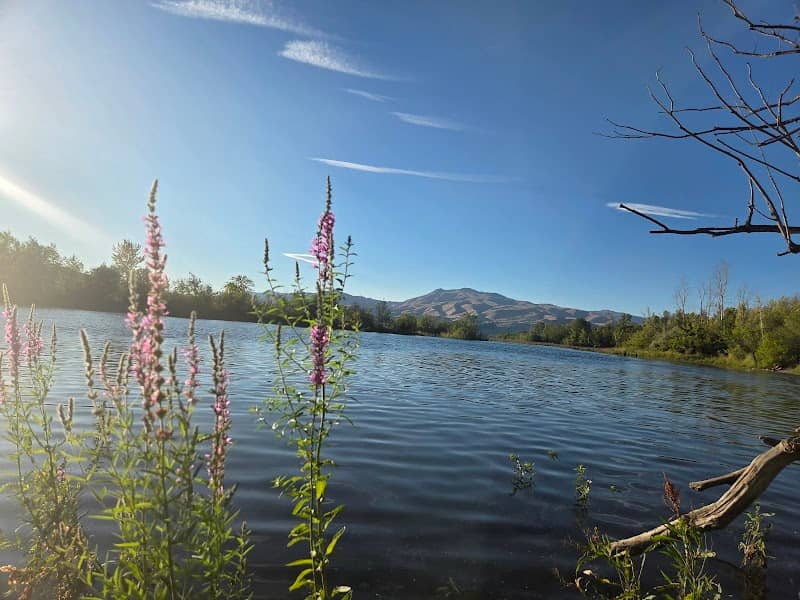 Porters Pond - Image 2