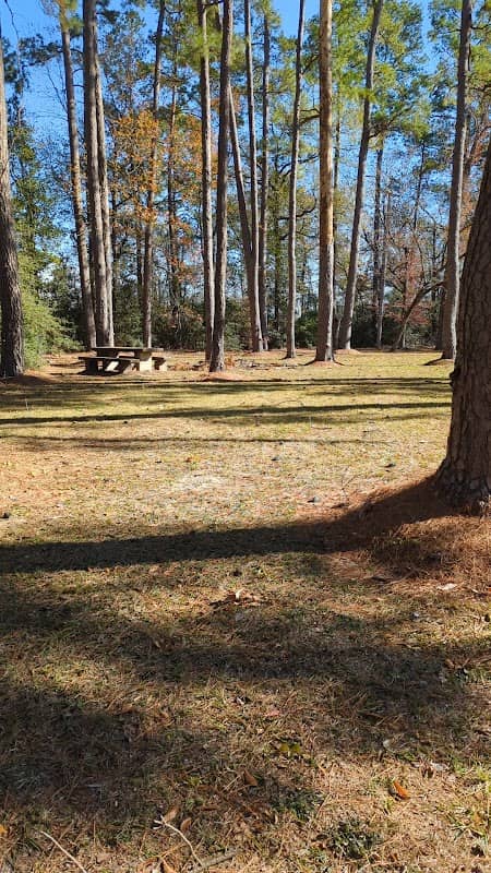 Forest Park - Image 2