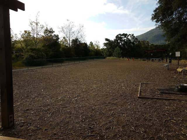 Clayton Dog Park - Image 1