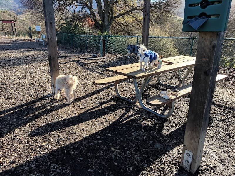 Clayton Dog Park - Image 2