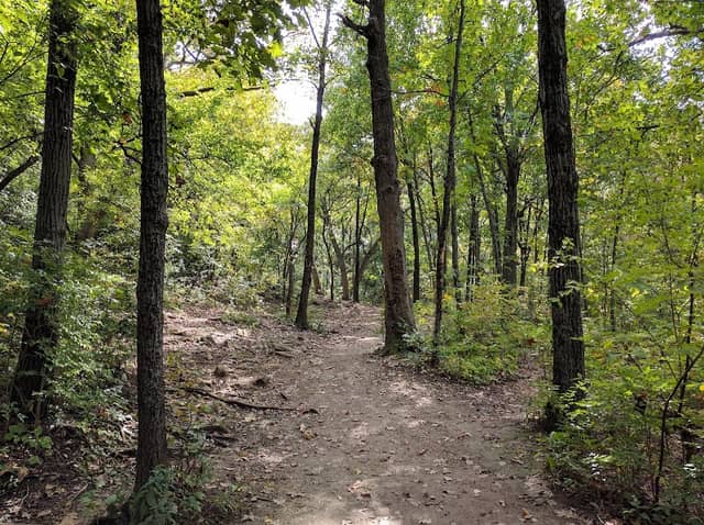 Rosedale Park - Image 1