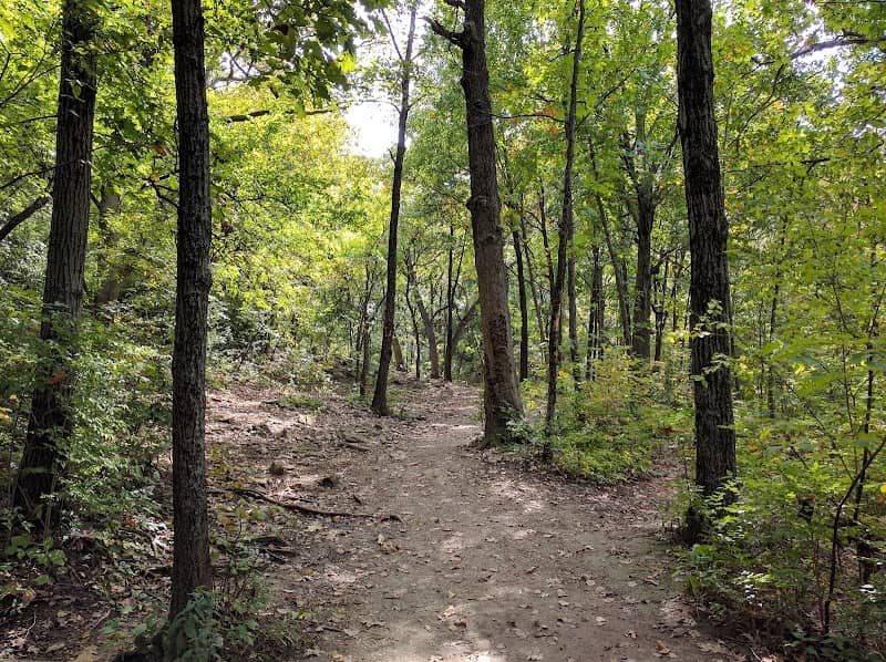 Rosedale Park - Image 1