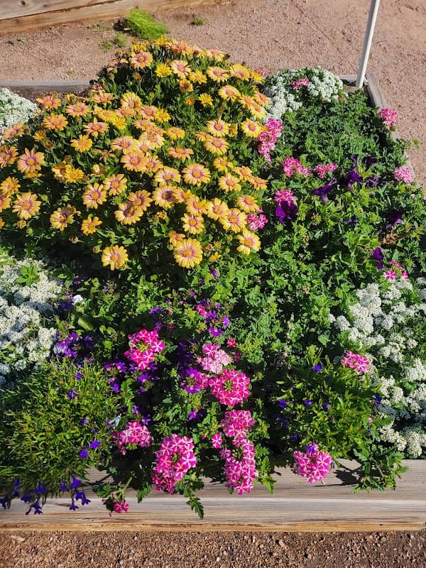 Earth Heart Park and Community Garden - Image 2