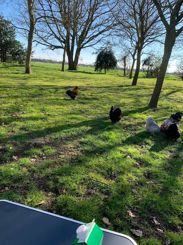 Home Farm Camping - Image 2