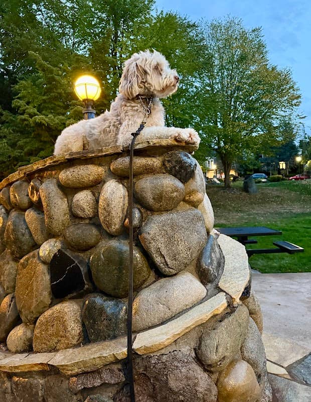 Ashland Park - Image 1