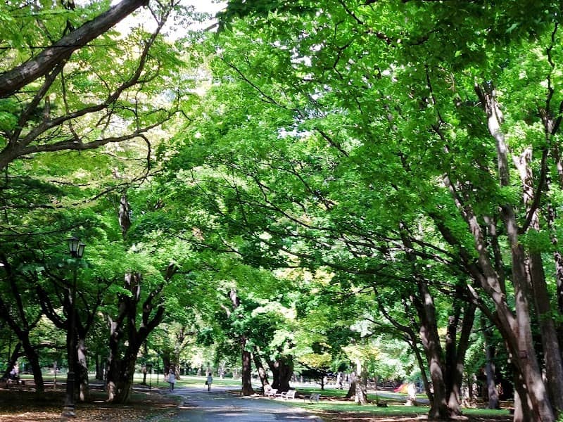 Maruyama Park - Image 3