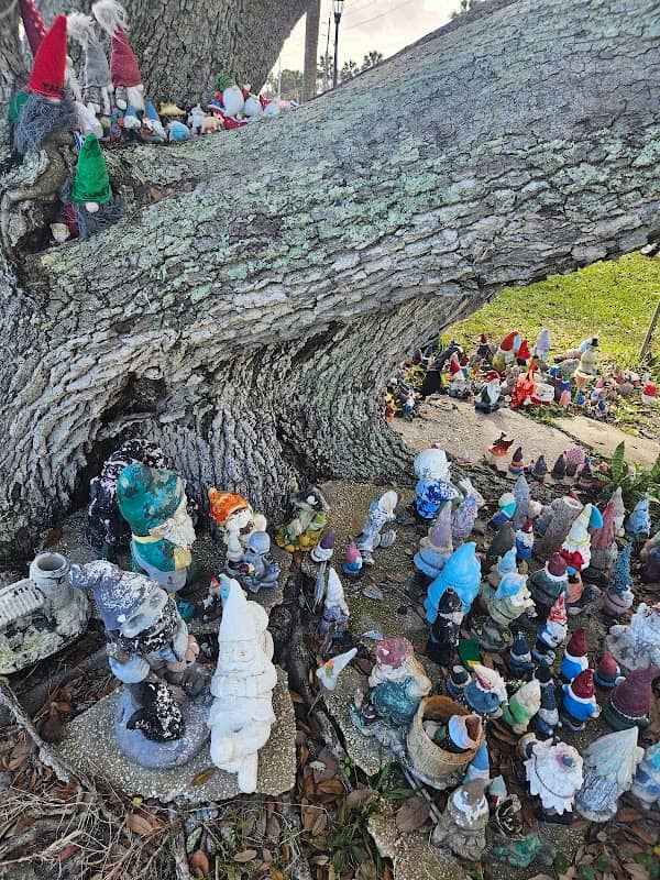The Holly Hill Gnome Tree - Image 3