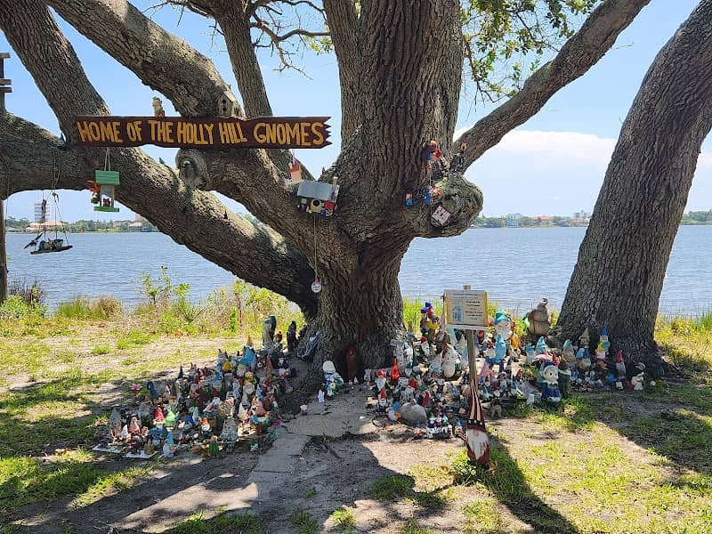 The Holly Hill Gnome Tree - Image 1