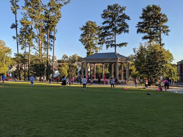 Brooke Street Park - Image 2