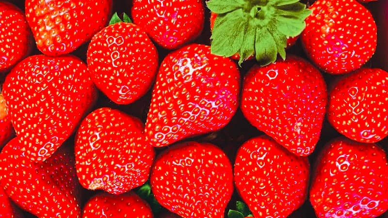 Pasadena Strawberry Festival - Image 1