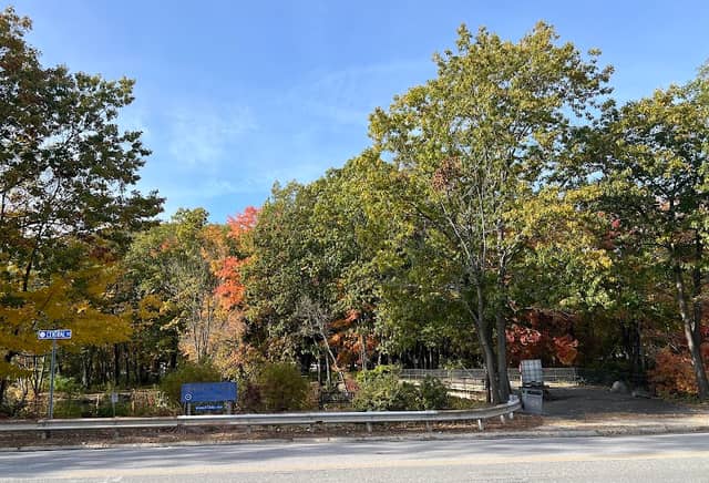 Simpson Park - Image 1