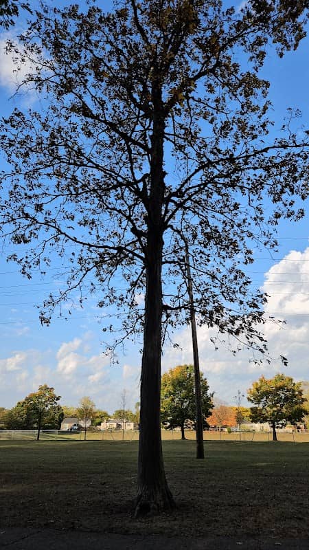 Beaver Trail Park - Image 1