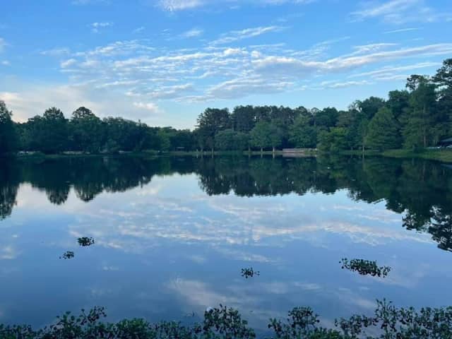 Lake Leon - Image 1