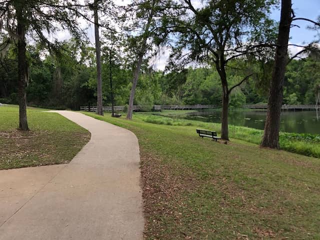 Lake Leon - Image 2