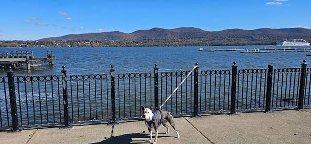 Unico Park - Image 2