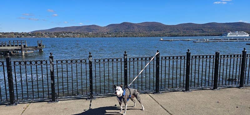 Unico Park - Image 2