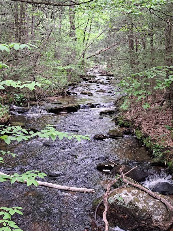 Jabish Brook Conservation Area - Image 2