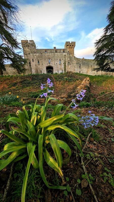 Country Park - Image 1