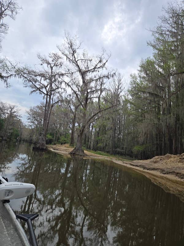 Caddo Lake Wildlife Management Area - Image 1