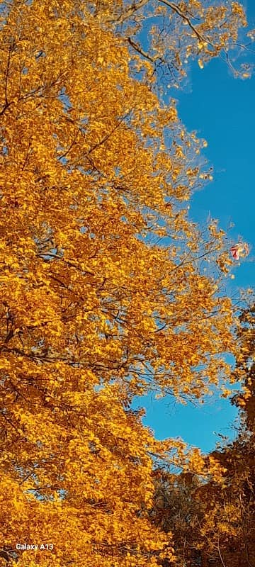 County Park Number 3 - Image 2