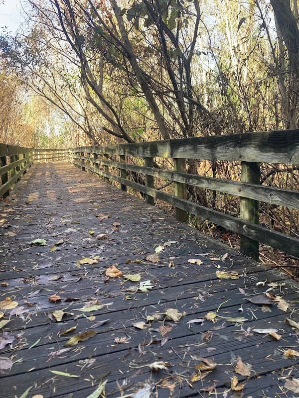 Cooper Park South - Image 2
