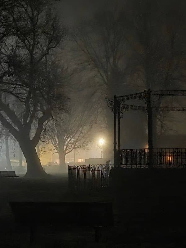 Gelli Park - Image 2