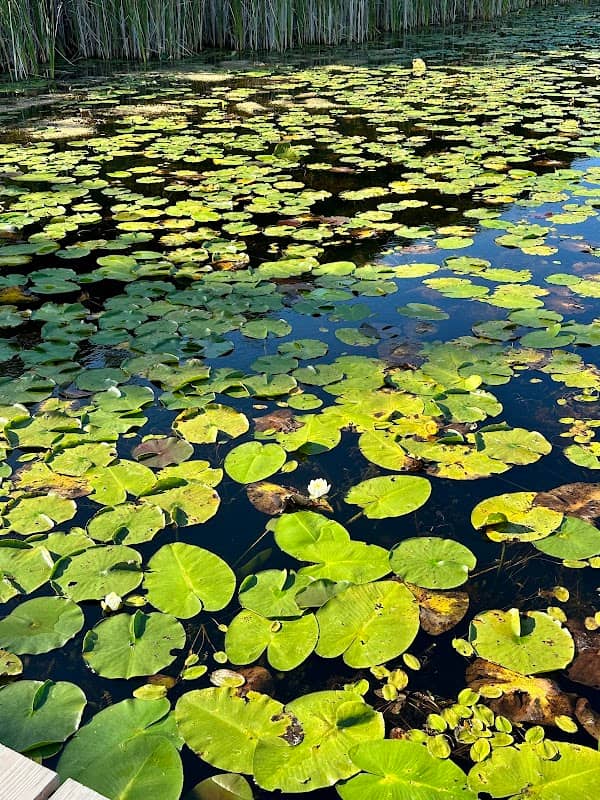 Gamiing Nature Centre - Image 2