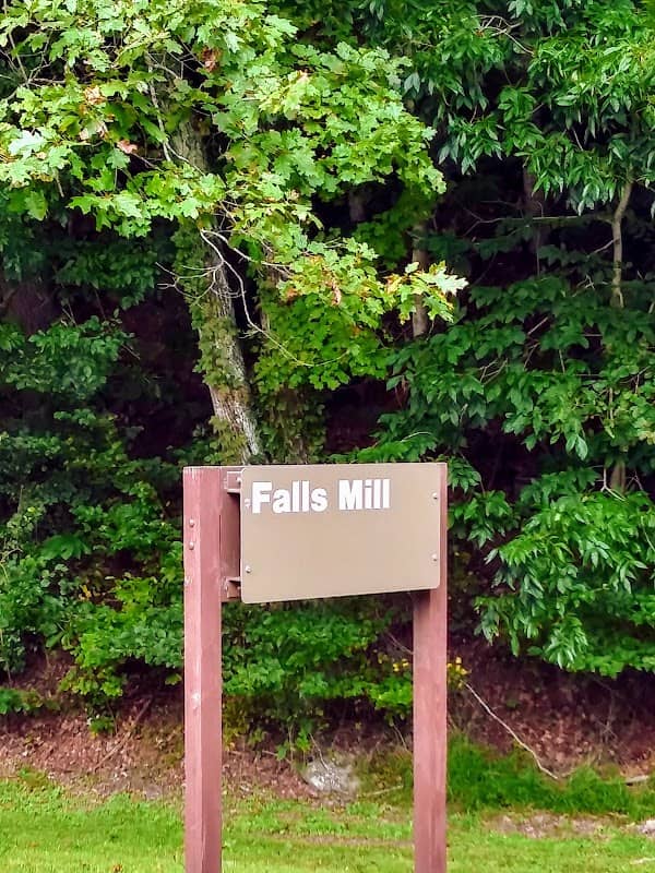 Burnsville Lake Wildlife Management Area - Image 2