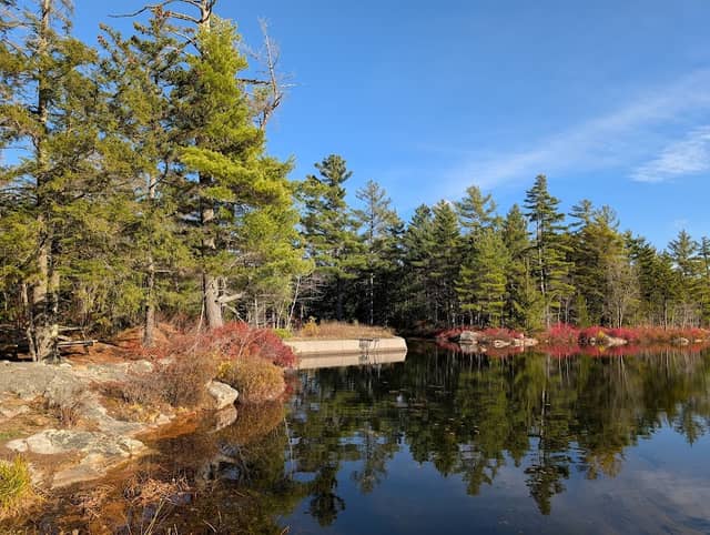 Enfield Wildlife Management Area - Image 2