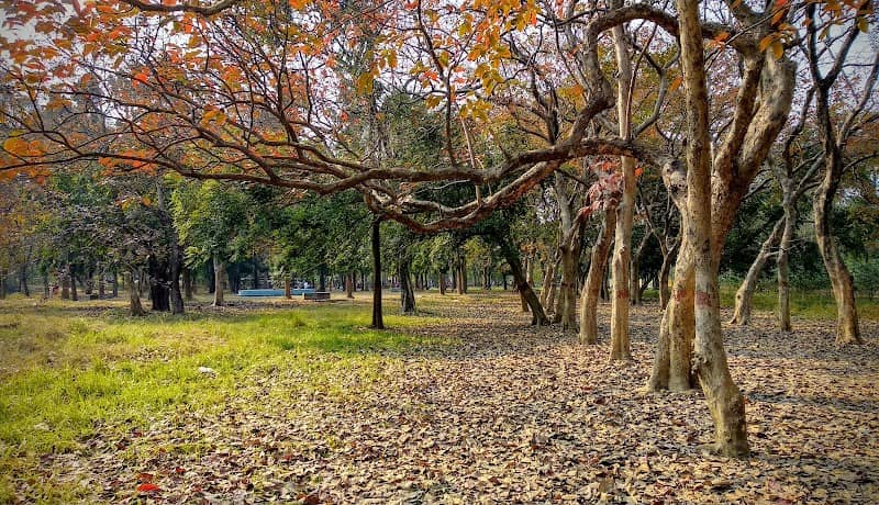 A-Zone Major Park - Image 1
