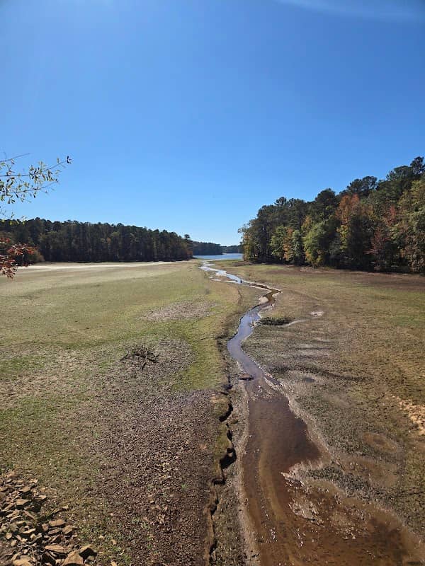 Georgia Dnr Wildlife Mgmt Area - Image 2