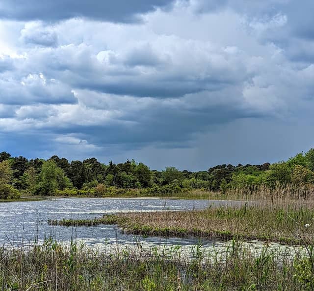 Edwin B. Forsythe National Wildlife Refuge - Image 3