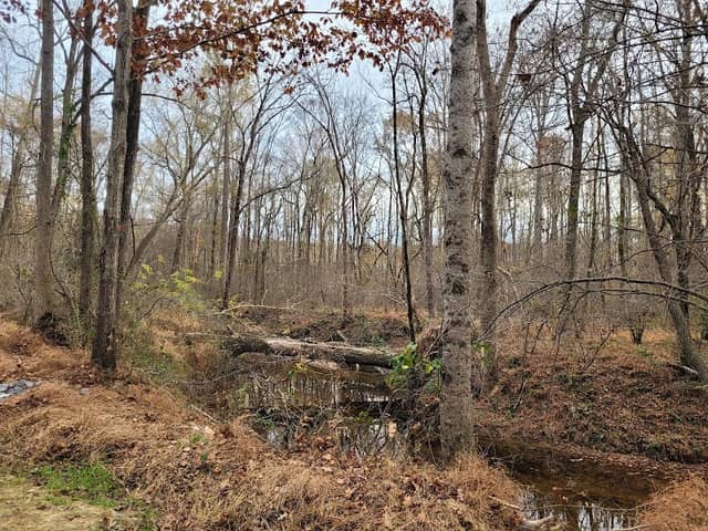 Irvins Creek Greenway - Image 3