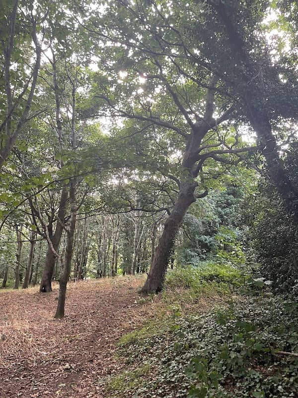 Abbey Park - Image 1