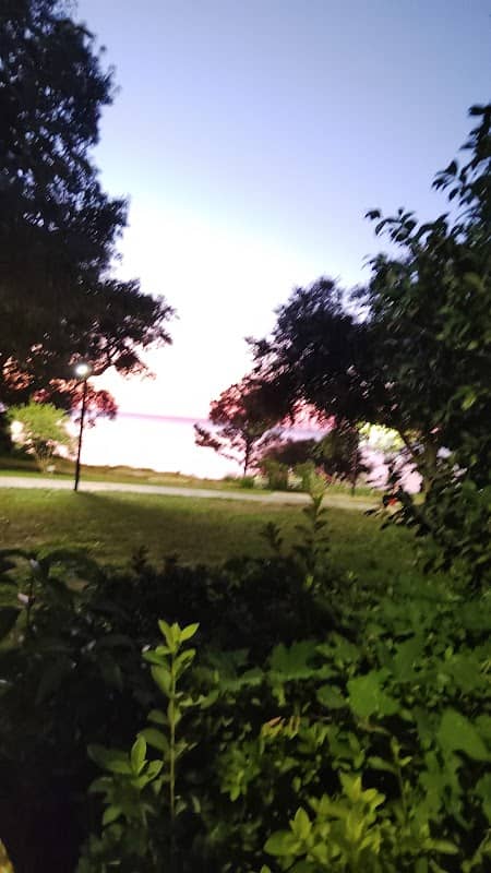 Utopia Park - Image 1