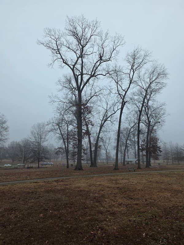 Corinth City Park - Image 1