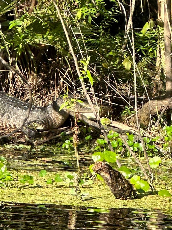 Rock Springs Run - Image 2