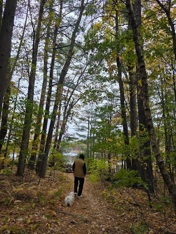 Lovewell's Pond Area - Image 2