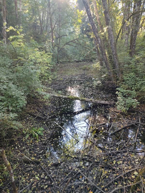 Bents Island - Image 1