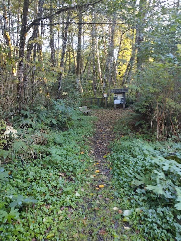 Bents Island - Image 2