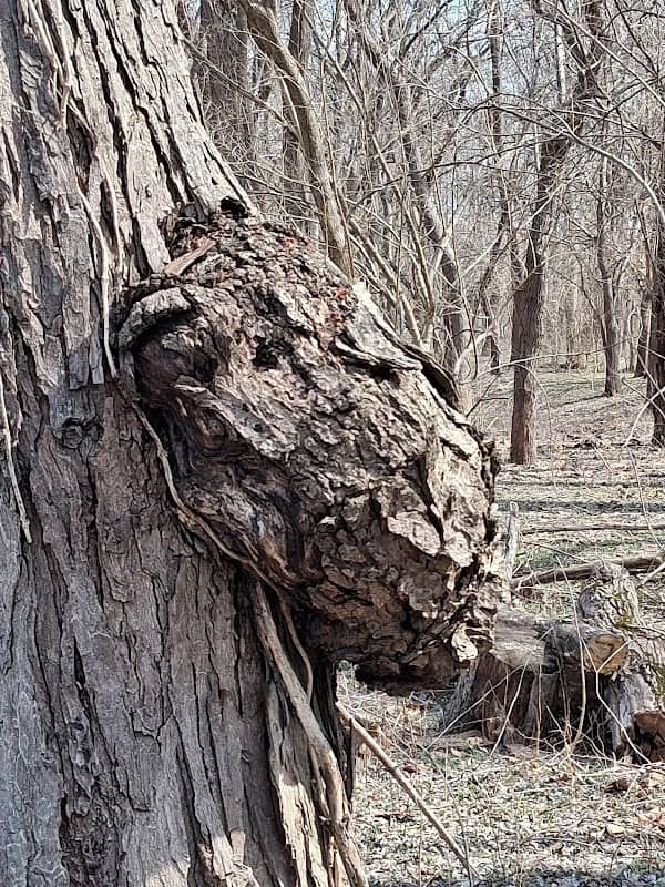 Riverside Park - Image 1