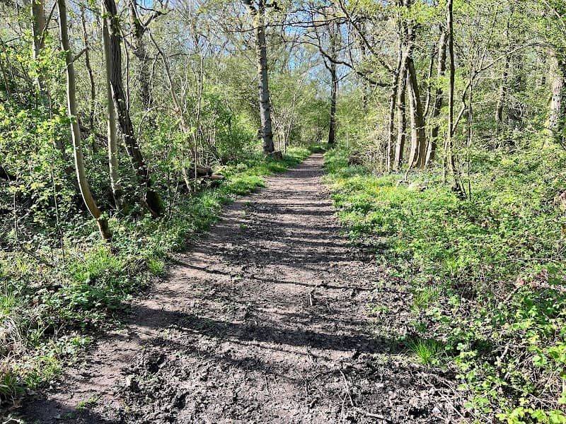 Short Wood and Southwick Wood - Image 1