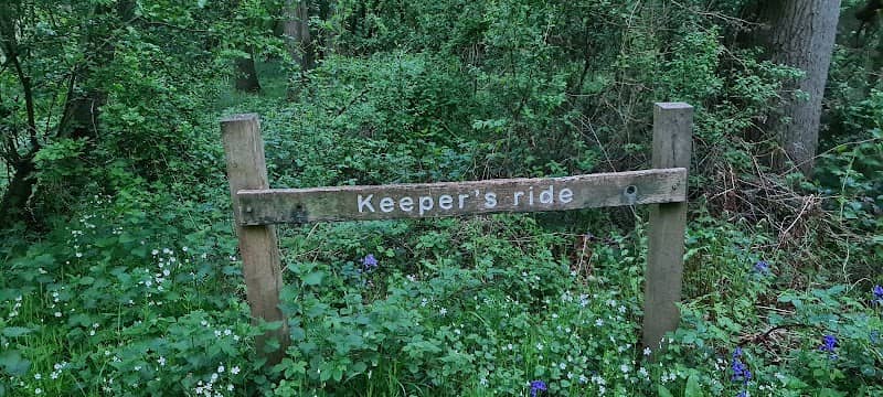 Short Wood and Southwick Wood - Image 2