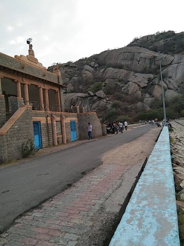 Jawai Bandh Jangal Safari - Image 1