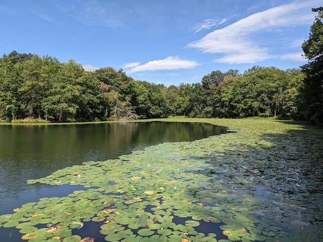 Piney Run Park Nature Center - Image 1