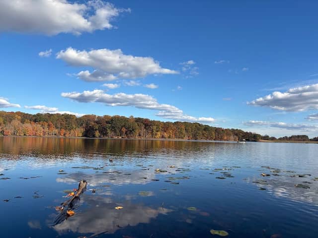 Piney Run Park Nature Center - Image 2