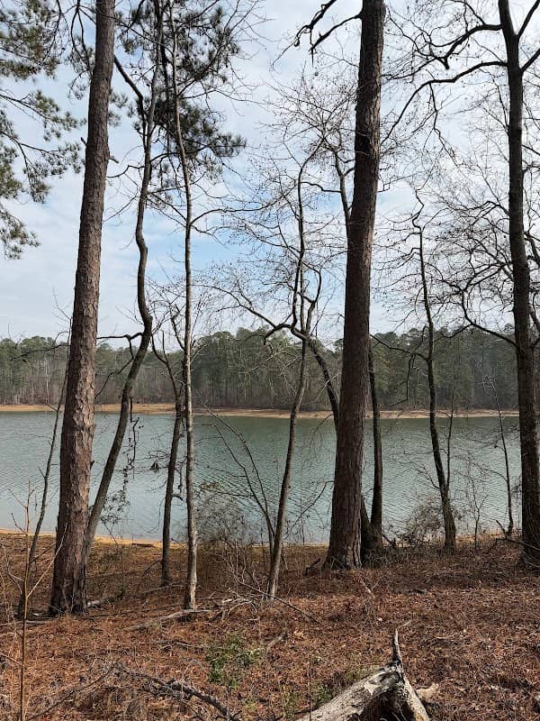 Bartram Trail Bike & Walking Trail - Image 2