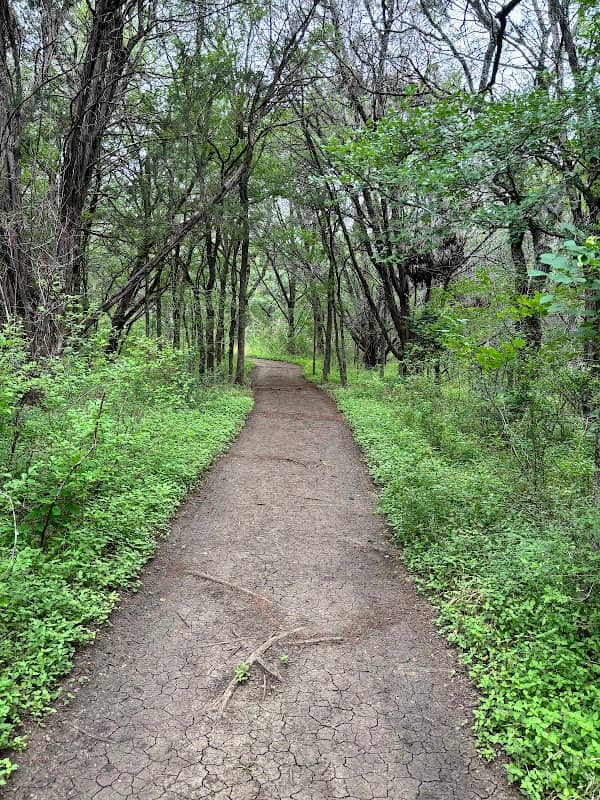 South Hills Conservation Area - Image 1