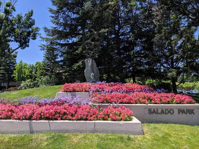 Salado Park - Image 1