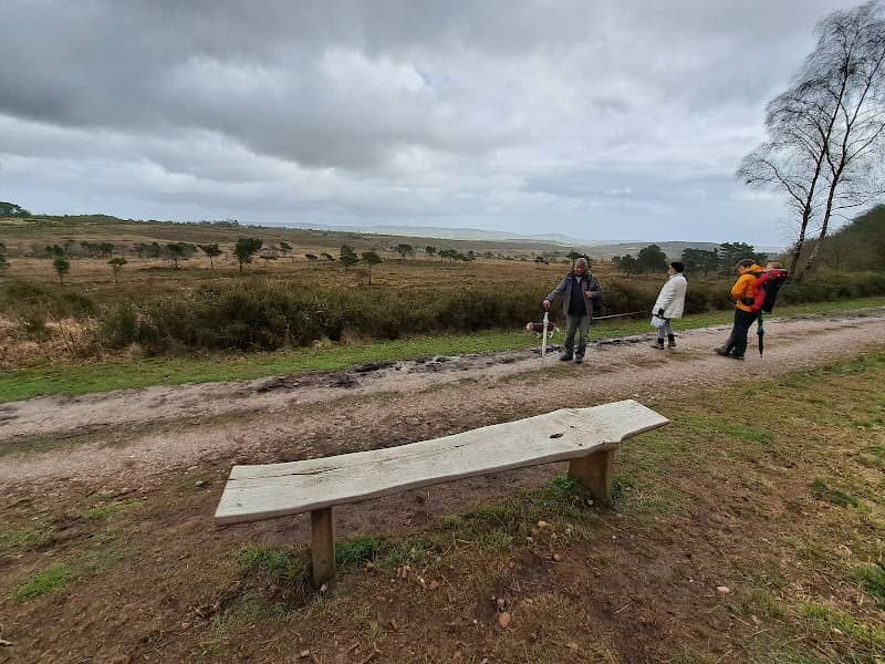 Mike's Bench - Image 1